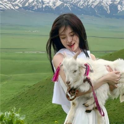 龙虎智多星